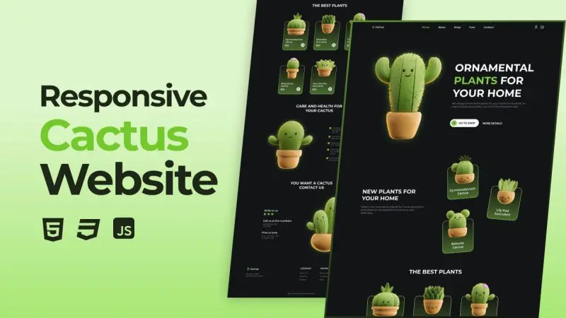 Shop Cactus Store